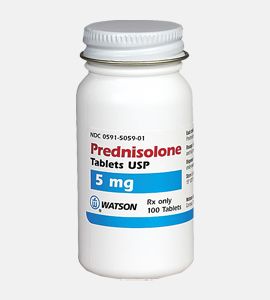 buy prednisolone